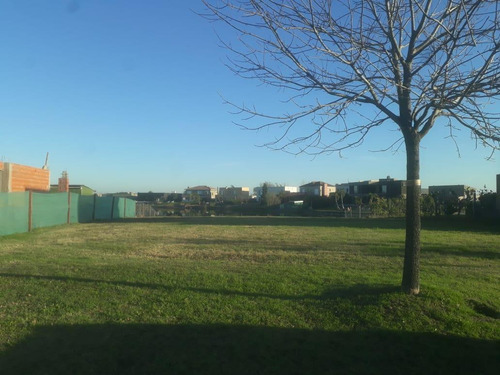 Imagen 3 de 5 de Terreno - El Canton