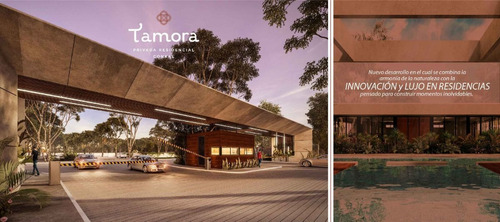 Imagen 11 de 14 de Terrenos En Privada Tamora