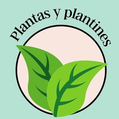 Plantines De Huerta Y Más