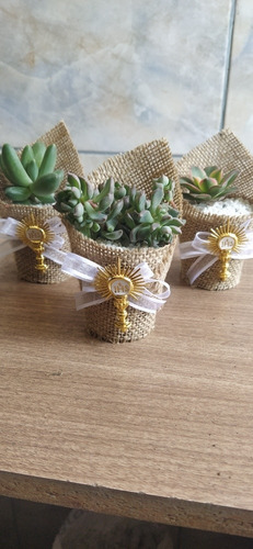 Imagen 2 de 4 de Recuerdos Vivos, Cactus Y Suculentas, Bodas, Bautizos