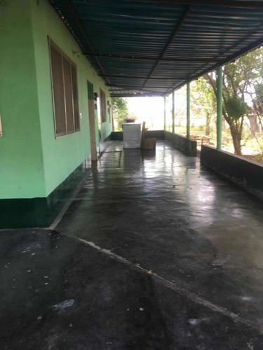 Imagen 12 de 19 de En Venta Finca De 50 Hectáreas, Ubicada En El Estado Ciojede
