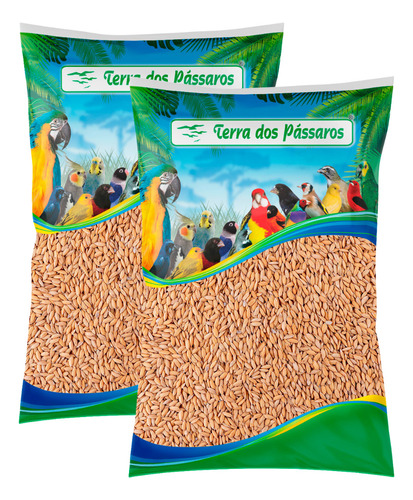 Kit 2 Unidades - Sementes De Arroz Cateto Pássaros 2,5 Kg
