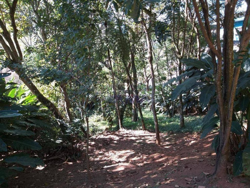Imagem 5 de 27 de Casa Com 4 Dormitórios À Venda, 450 M² Por R$ 1.350.000,00 - Parque Dom Henrique Ii - Cotia/sp - Ca1967