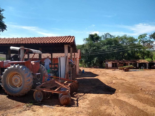 Imagem 7 de 15 de Fazenda - Centro - Ref: 3341 - V-3341