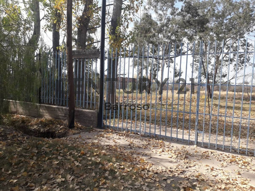 Imagen 4 de 5 de Alquiler Terreno En Acceso Sury Paso
