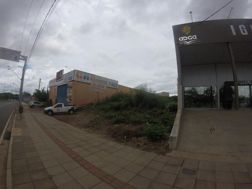Imagem 2 de 3 de Terrenos - Ref: L4794
