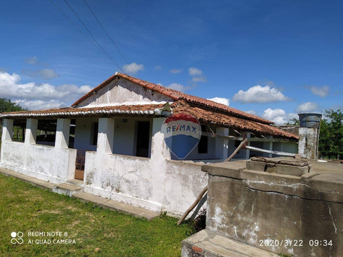 Fazenda Com 700000 M² À Venda E Locação - Zona Rural - Bento Fernandes/rio Grande Do Norte - Fa0004