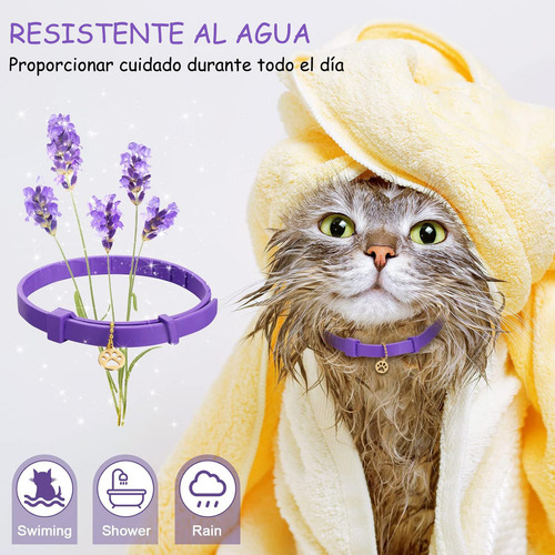 Collar Calming Para Gatos Calmante Tranquilizante