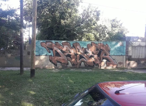 Terreno - Luis Guillon