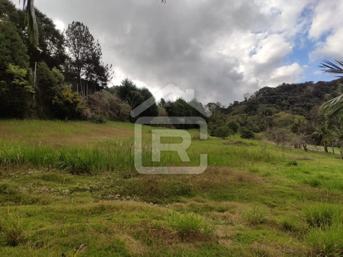 Imagem 25 de 30 de Excelente Sitio Com Topografia Plana, Rico Em Aguá - 12 - 69839868
