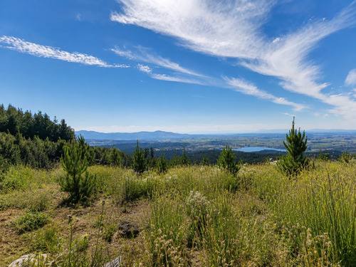 Parcela De 5000m2 Rodeada De Plena Naturaleza En Romeral