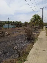 Comprar Venta De Parcela Con Bienhechuría Via Principal Mayorquin Via Naricual , Ubicado Parcelamiento Puente Ayala 