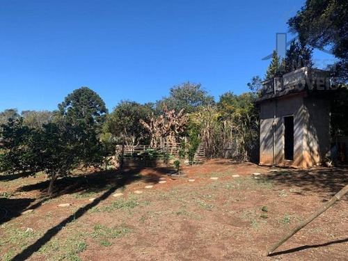 Imagem 6 de 15 de Cod 6001 - Chacara Com 1.000m² Otima Localização. - 6001
