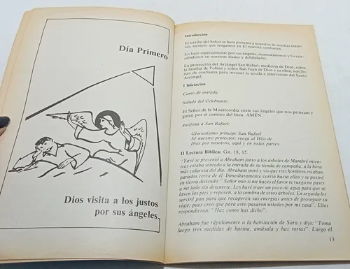 Medicina De Dios - Novena A Arcangel San Rafael (Usado)