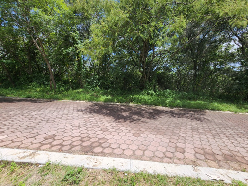 Venta Lote San Diego 54 Mz Xvi Muy Cerca De La Entrada Y De Las Amenidades Del Fracc Rancho San Diego Ixtapan De La Sal Edomex