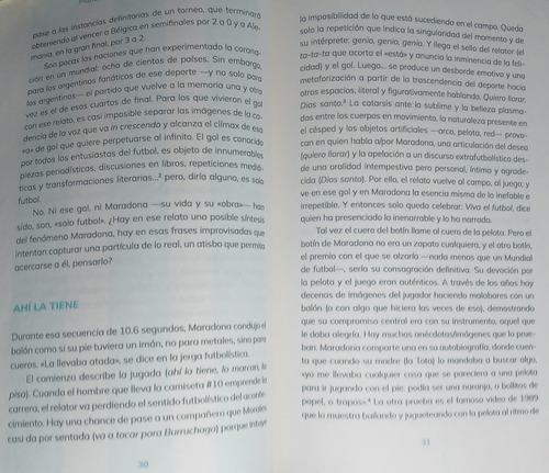Planeta Diego: 16 Miradas A Un Ícono - Pablo Brescia (Usado)