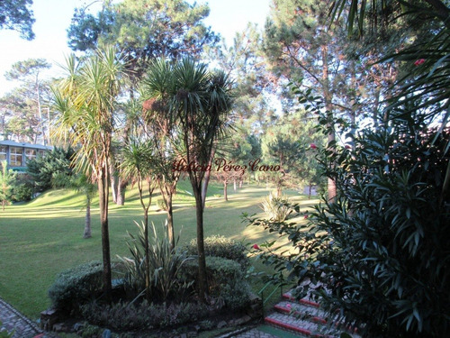 Imagen 4 de 30 de Venta Apartamento En Mansa 3 Dormitorios
