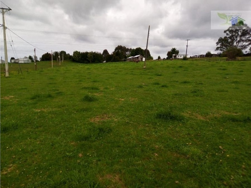 Se Vende Campo Con Casa Rustica Y Cabañas En Sector Coquiao