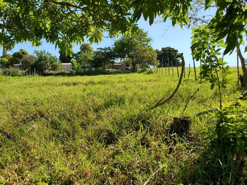 Aquí Tienes Con El Rio Para Tu Mejor Inversión En Sajoma