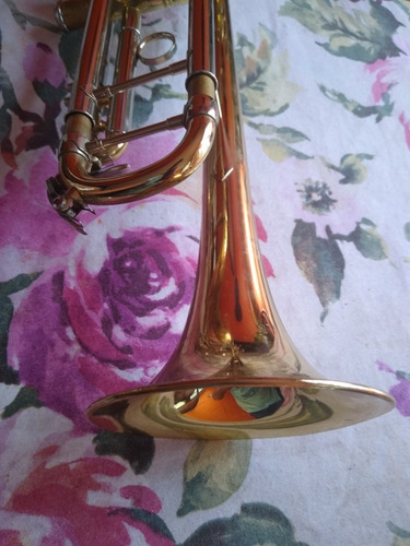 Wisemann (Usado)