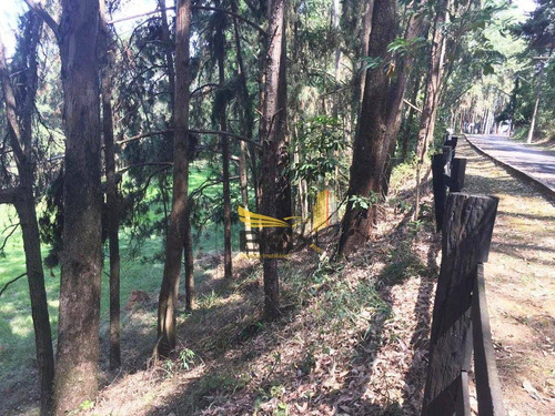 Imagem 10 de 17 de Terreno À Venda, 949 M² Por R$ 700.000,00 - Residencial Das Estrelas - Barueri/sp - Te0060