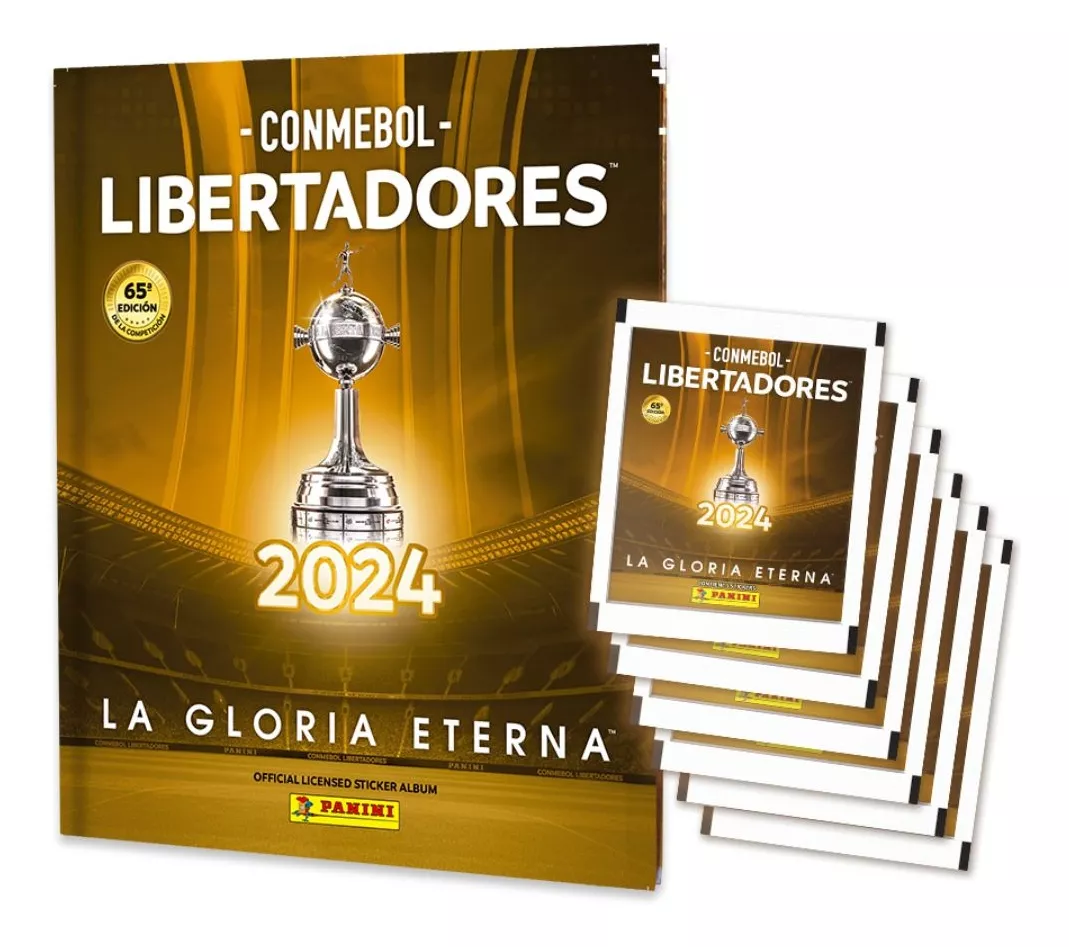 Tercera imagen para búsqueda de copa libertadores