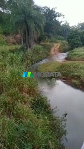 Imagem 13 de 15 de Fazenda - Zona Rural - Ref: 3829 - V-mta3829