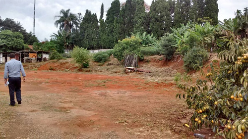 Imagem 11 de 14 de Área Para Posto De Gasolina - Suzano/sp