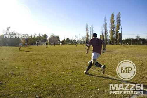 Imagen 6 de 7 de Terreno - Venado Ii