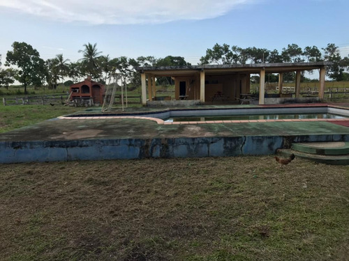 Imagen 4 de 14 de Se Vende Finca En La Vía Al Sur