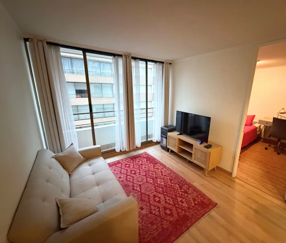 Imagen 4 de 20 de Departamento 1 Dormitorio 1 Baño En Centro De Concepción