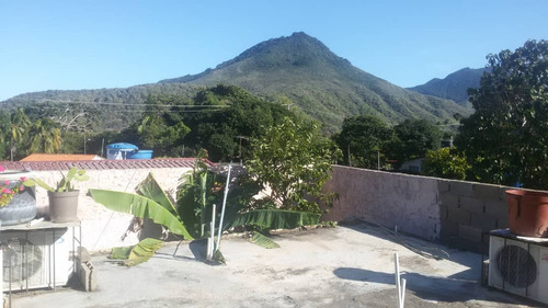 Margarita (dr)