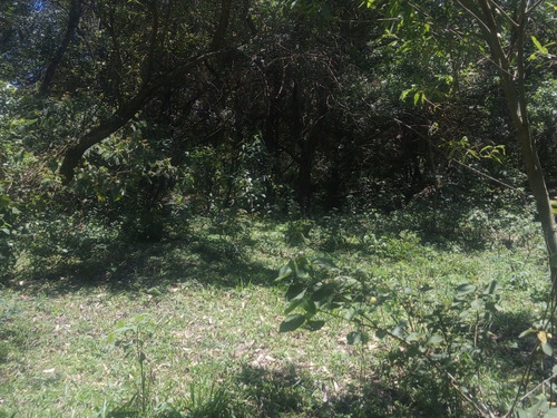 Imagem 7 de 23 de Tm- Vendo Terreno, Troco Por Veículo