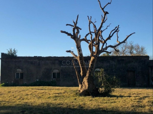 Imagen 27 de 29 de Campo En Jose Ignacio - Jose Ignacio