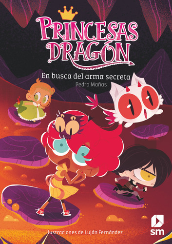 Princesas Dragon 13 En Busca Del Arma Secreta - Mañas Romero