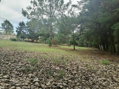 Imagen 1 de 10 de Terreno En Venta Los Alcanfores