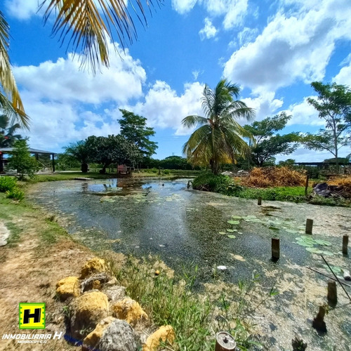 Imagen 7 de 13 de Preciosa Finca Para Fines De Posada En Tucacas