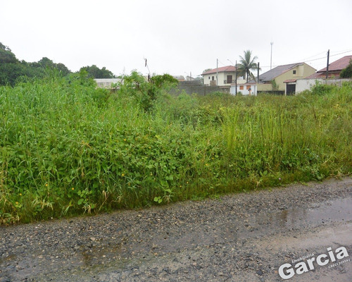 Imagem 2 de 3 de Terreno A Venda Em Peruíbe - 4748 - 34842503