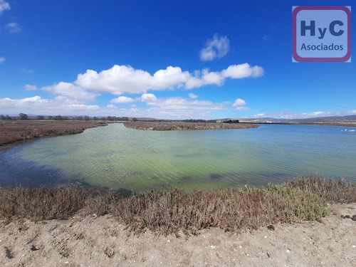 3 Hectareas De Terreno Plano, Tongoy, Puerto Aldea