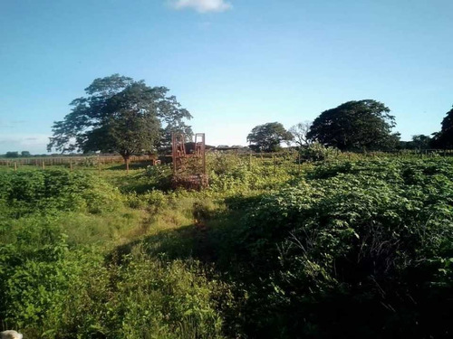 Imagen 20 de 26 de Finca En Venta ,calabozo Guarda Tinajas