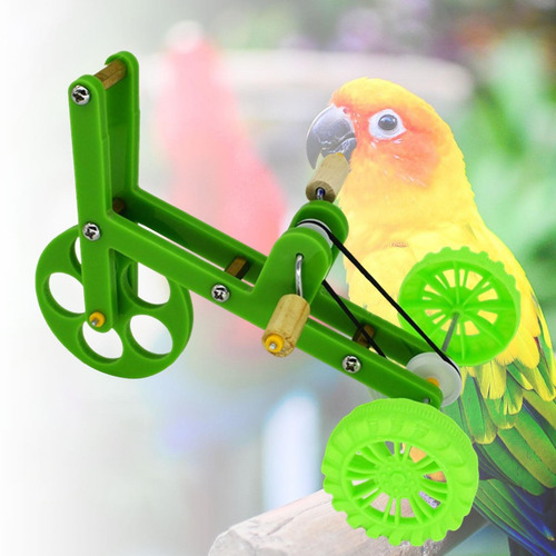 Material De Entrenamiento Para Pájaros Creative Parrot Bike
