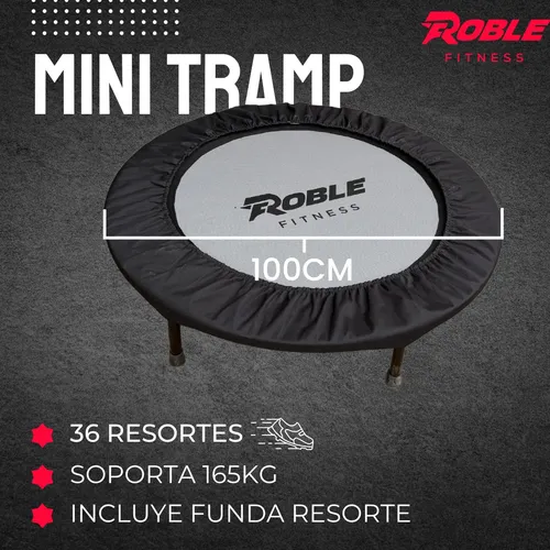 Minitrampolin X2 Cama Elastica Mini Tramp Profesional
