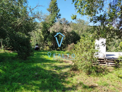 Parcela En Venta 7400m2 Con Baño Y Placa, Agua Y Luz