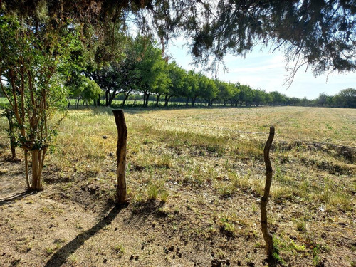 Imagen 14 de 14 de Campo Productivo En Leandro Alem