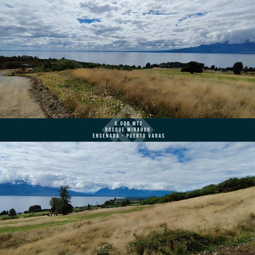 Exclusivo Terreno - 5.000 Mt2 - Ensenada - Puerto Varas