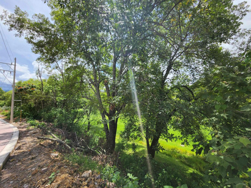 Venta Lote Margarita Vii Con Bonita Vista Y Cerca De Las Principales Amenidades Como El Campo De Tiro De Práctica De Golf En Fracc Rancho San Diego Ixtapan De La Sal Edomex
