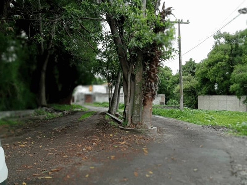 Imagen 4 de 12 de Terreno En Venta Lomas De Cuernavaca