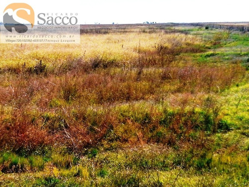 Chacra En Venta En Distrito De #trenquelauquen
