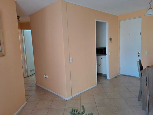 Se Arrienda Dpto Full Amoblado (65906)