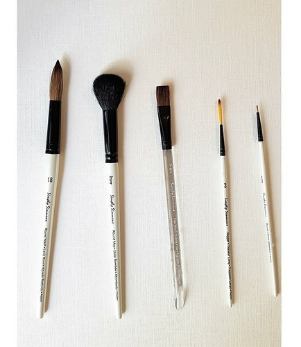 Imagen 3 de 3 de Set 5 Pinceles #2 Acuarela Daler Rowney